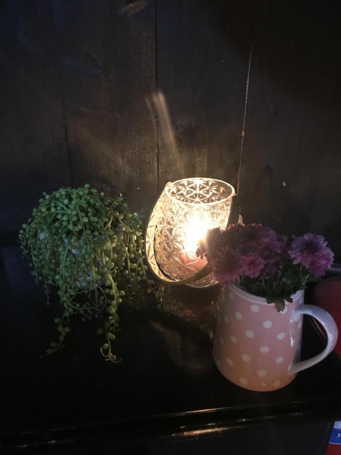 Viksdalen Tuftegarden酒店 外观 照片