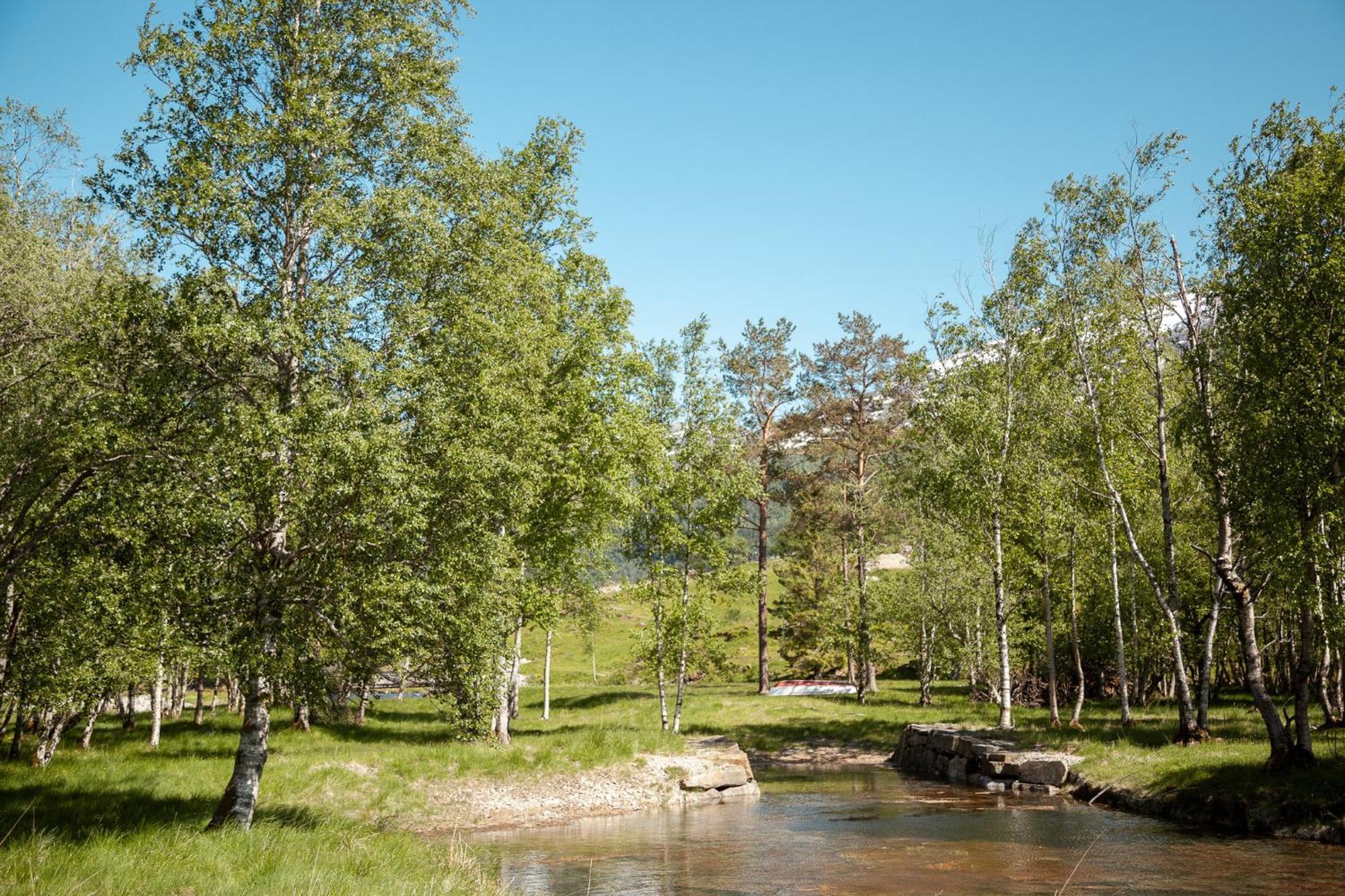 Viksdalen Tuftegarden酒店 外观 照片